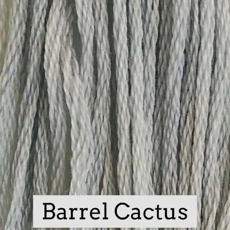 Barrel Cactus by Classic Colorworks Classic Colorworks