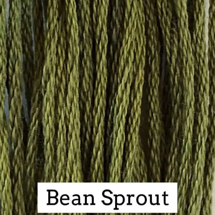 Bean Sprout by Classic Colorworks Classic Colorworks