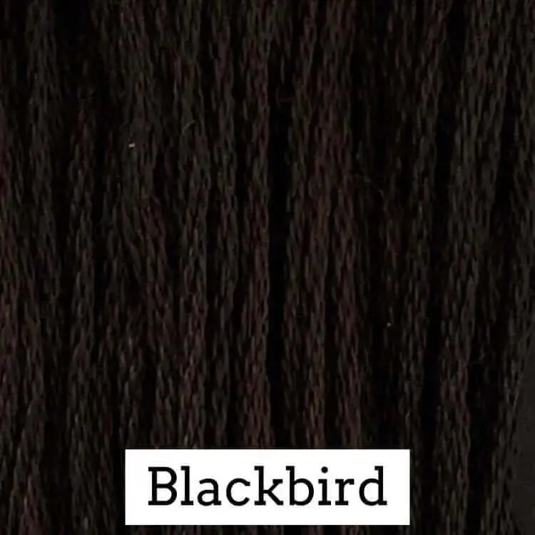 Blackbird by Classic Colorworks Classic Colorworks