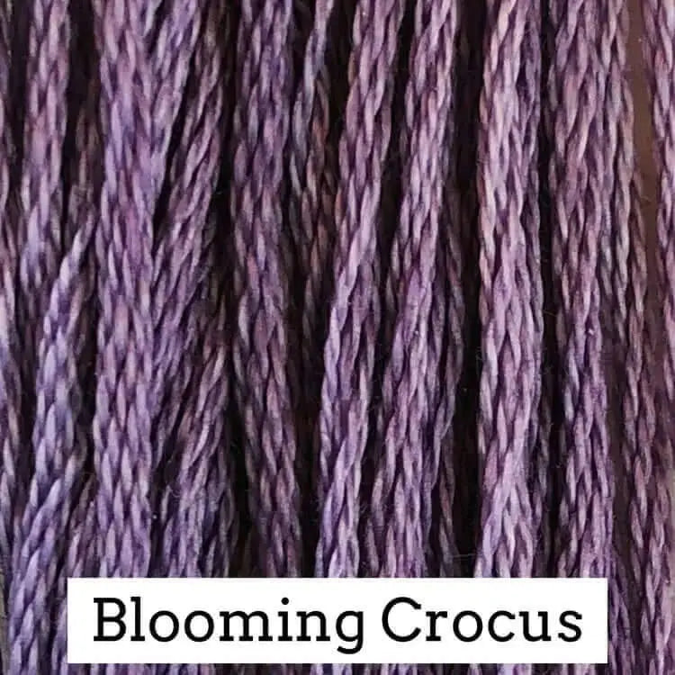 Blooming Crocus by Classic Colorworks Classic Colorworks
