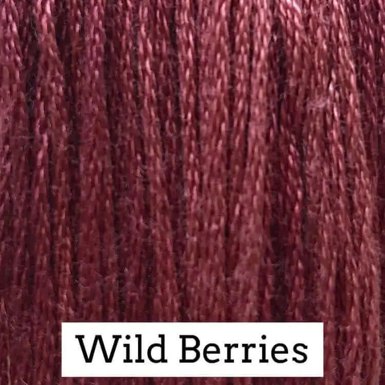 Wild Berries by Classic Colorworks Classic Colorworks