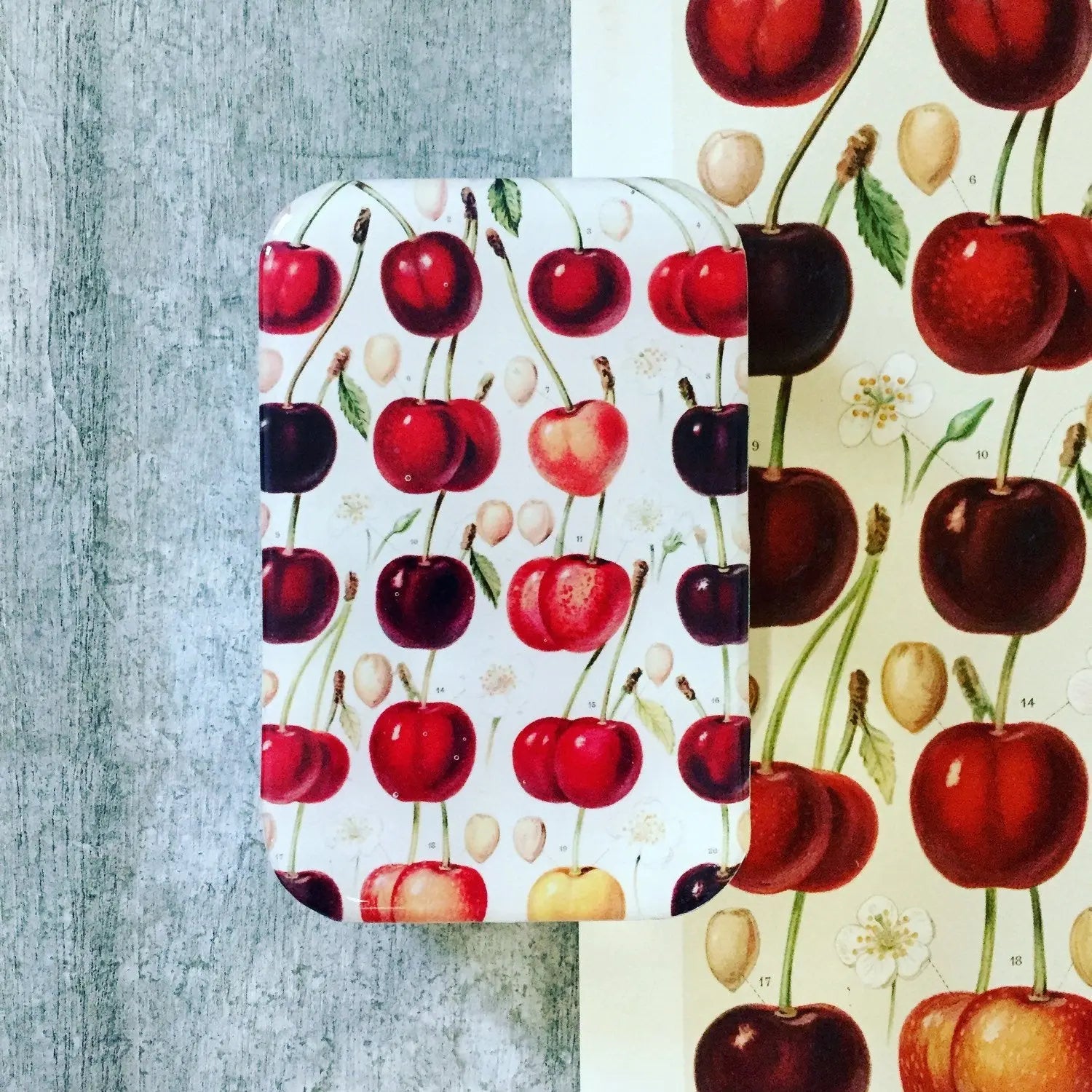 Accessory Tin - Cherries Firefly