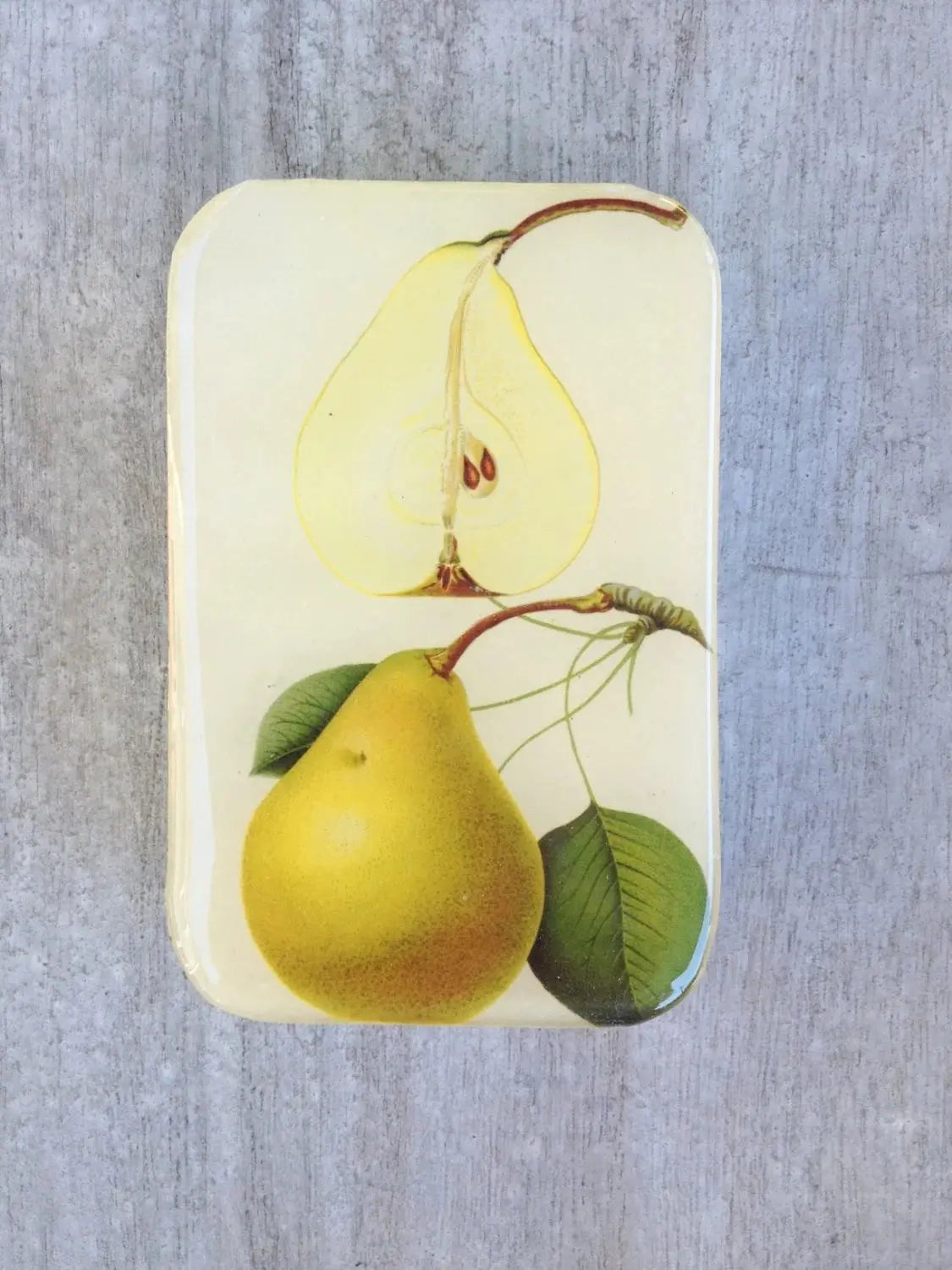 Accessory Tin - Pear Firefly