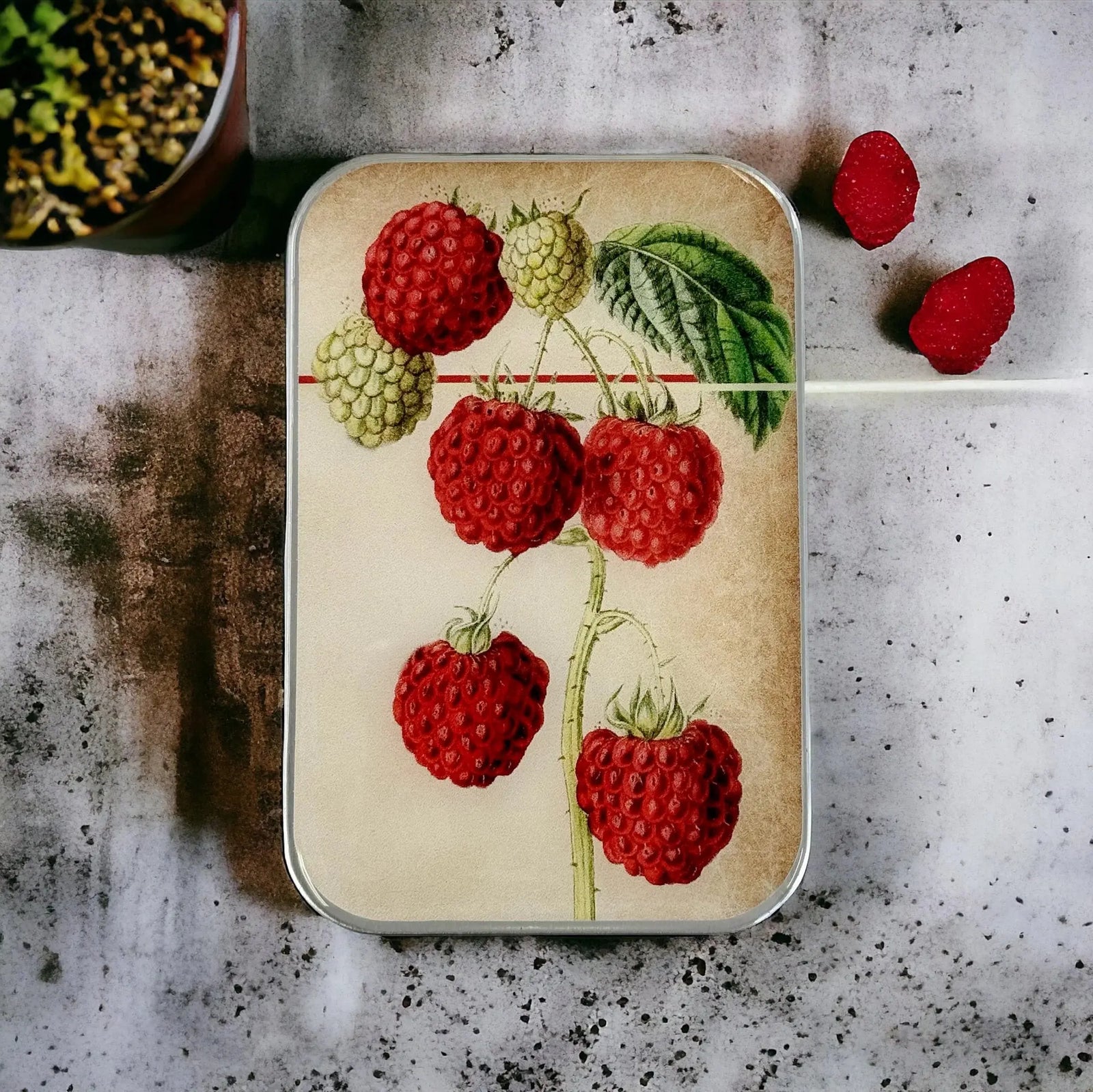 Accessory Tin - Raspberries Firefly