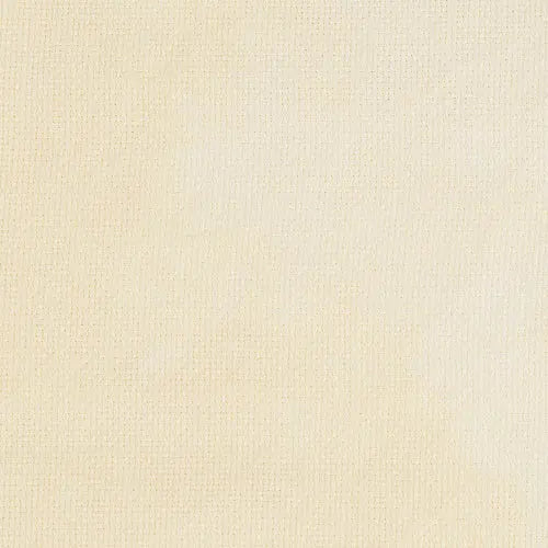 Aida Filtered Sunlight (16 ct) by Forbidden Fiber Forbidden Fiber