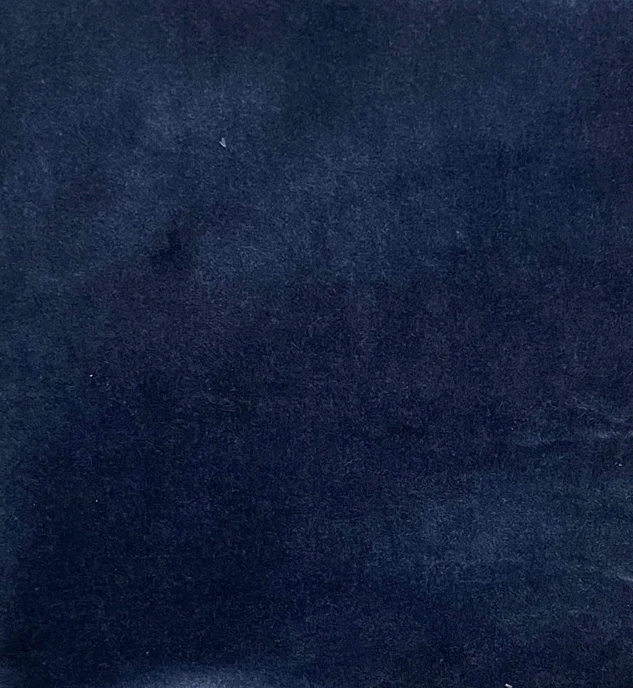 Blue Corn Velveteen by Lady Dot Creates Lady Dot Creates