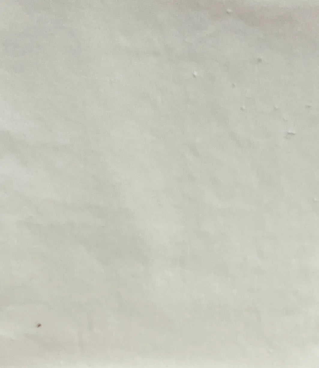 Paperwhites Velveteen by Lady Dot Creates Lady Dot Creates