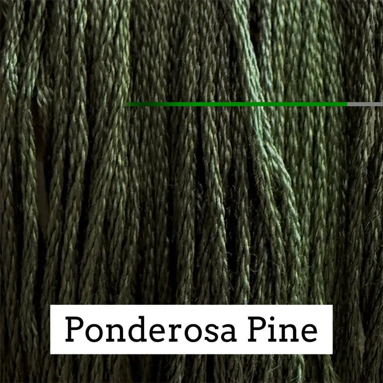 Ponderosa Pine by Classic Colorworks Classic Colorworks