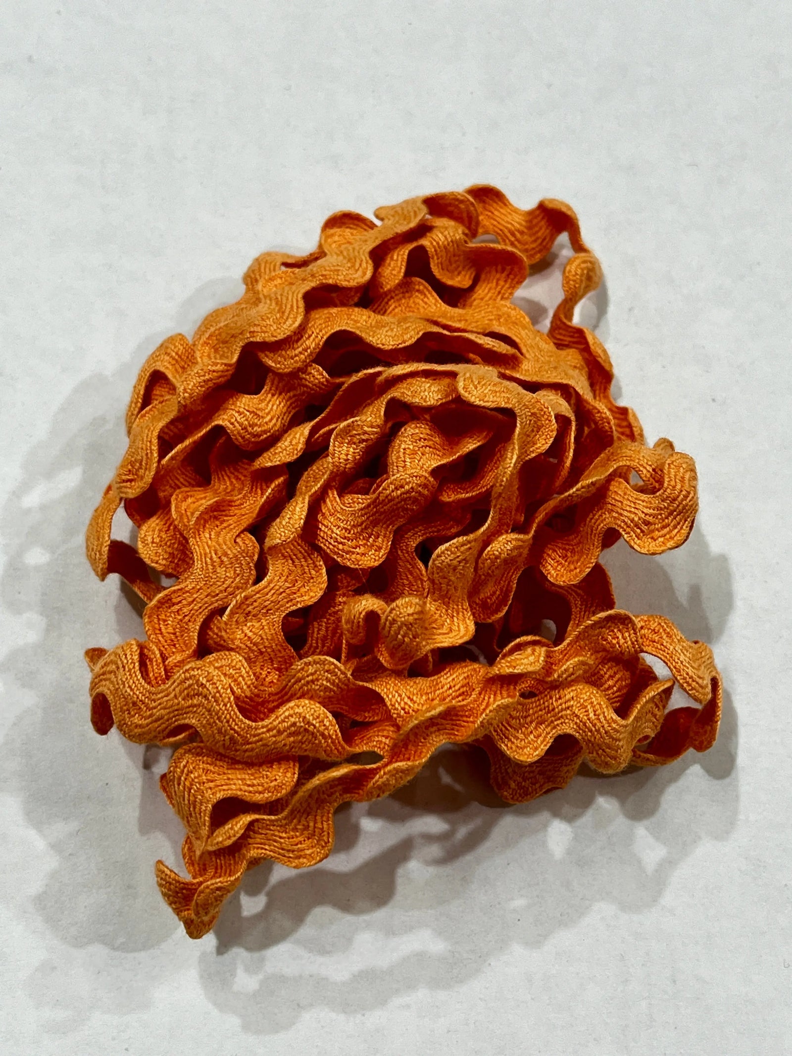 Pumpkin Patch Rick Rack by Lady Dot Creates Lady Dot Creates