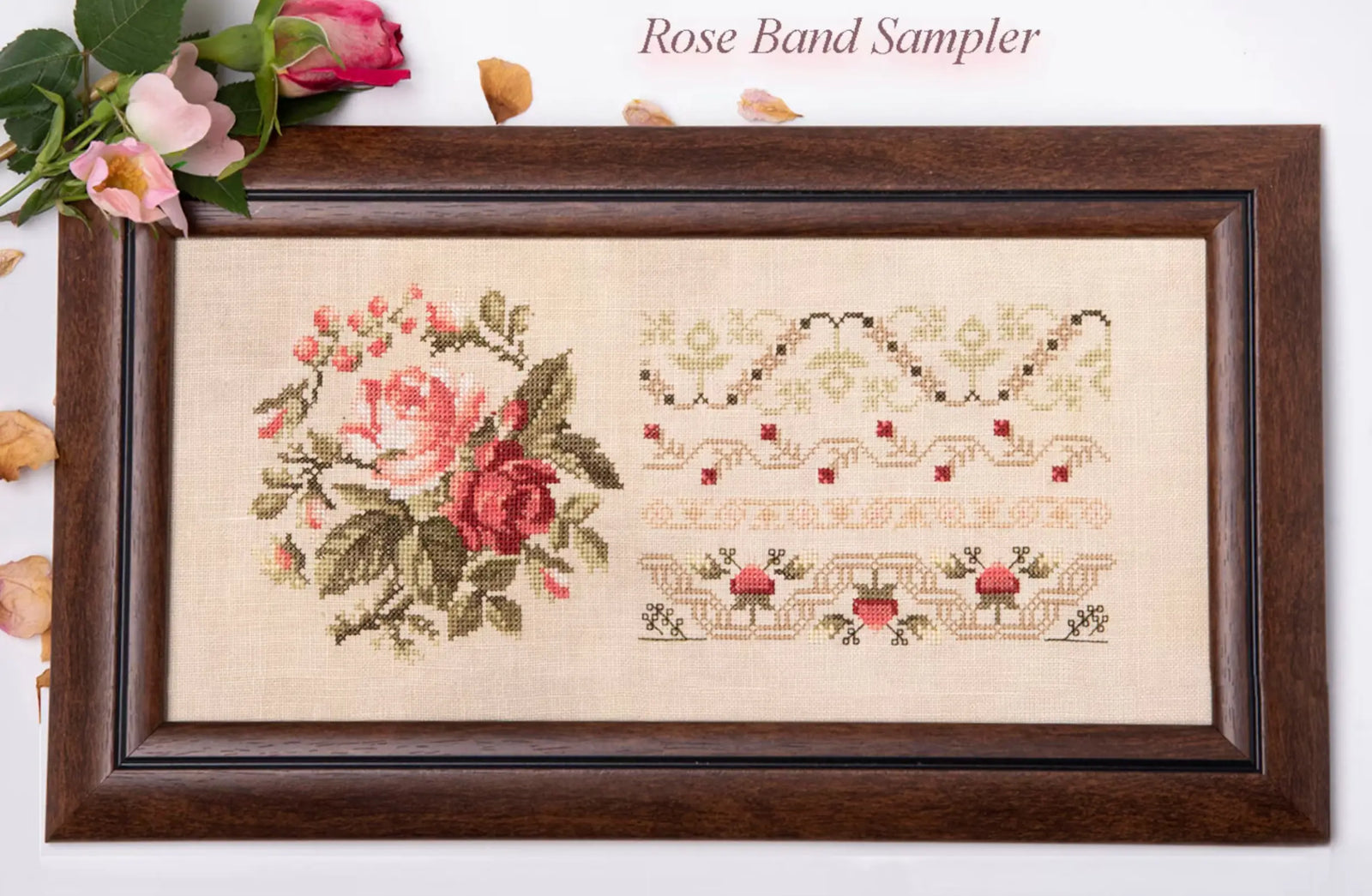 Rose Band Sampler by Samplers and Primitives Samplers and Primitives