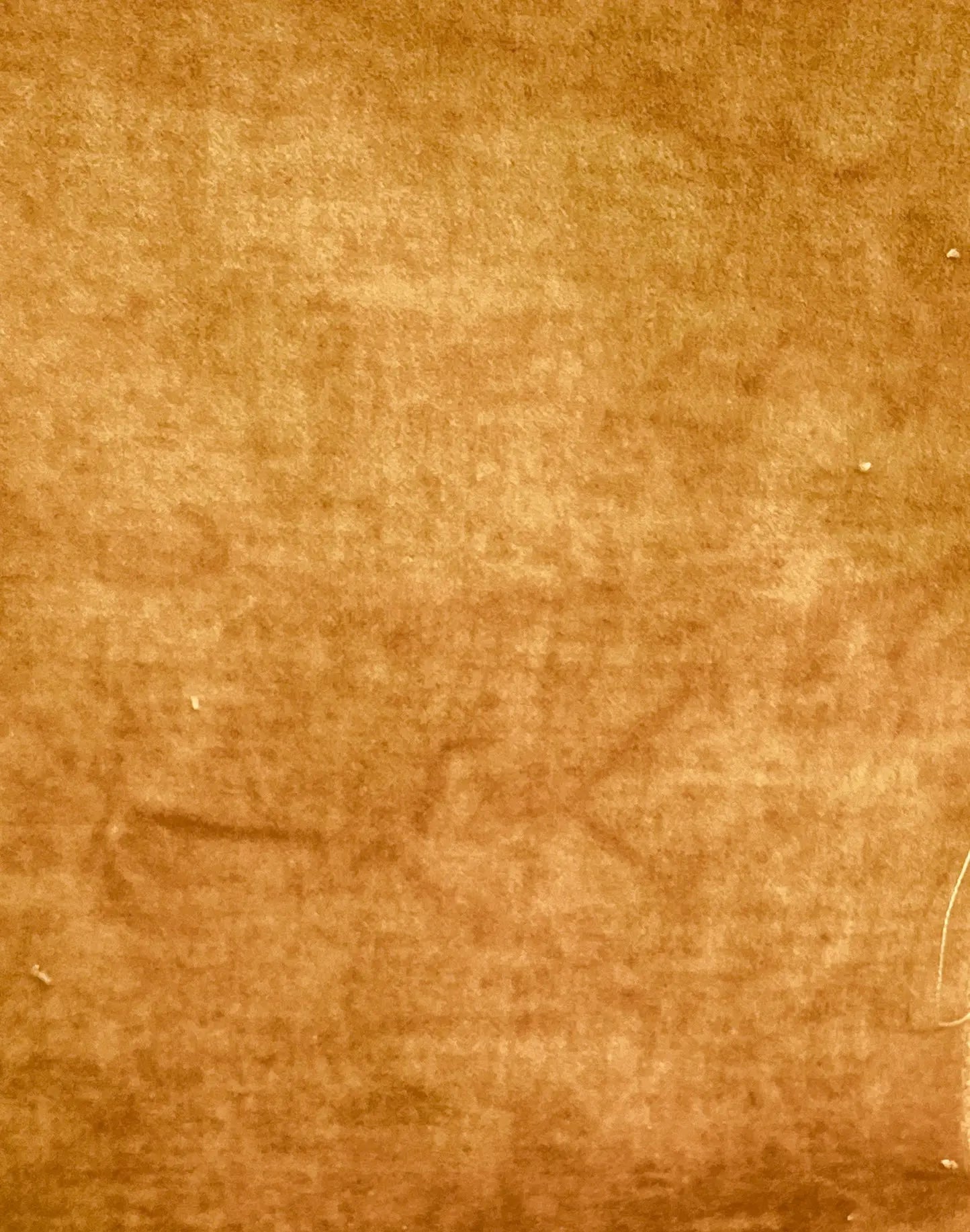 Squash Velveteen by Lady Dot Creates Lady Dot Creates