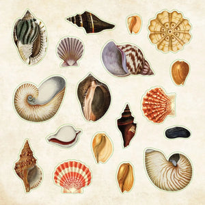 Sticker Book - Poseidon's Kingdom Peter Pauper Press