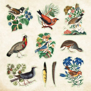 Sticker Book - Zoological Ephemera Peter Pauper Press