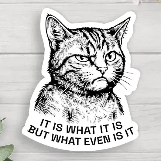 Sticker - Cat What Even Is It? Expression Design