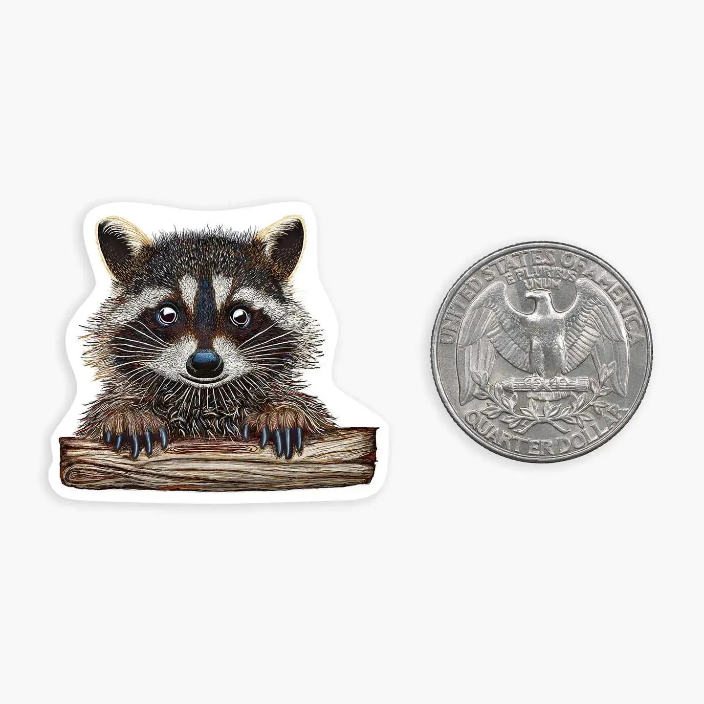 Sticker Mini - Rocky Raccoon Nice Enough Stickers