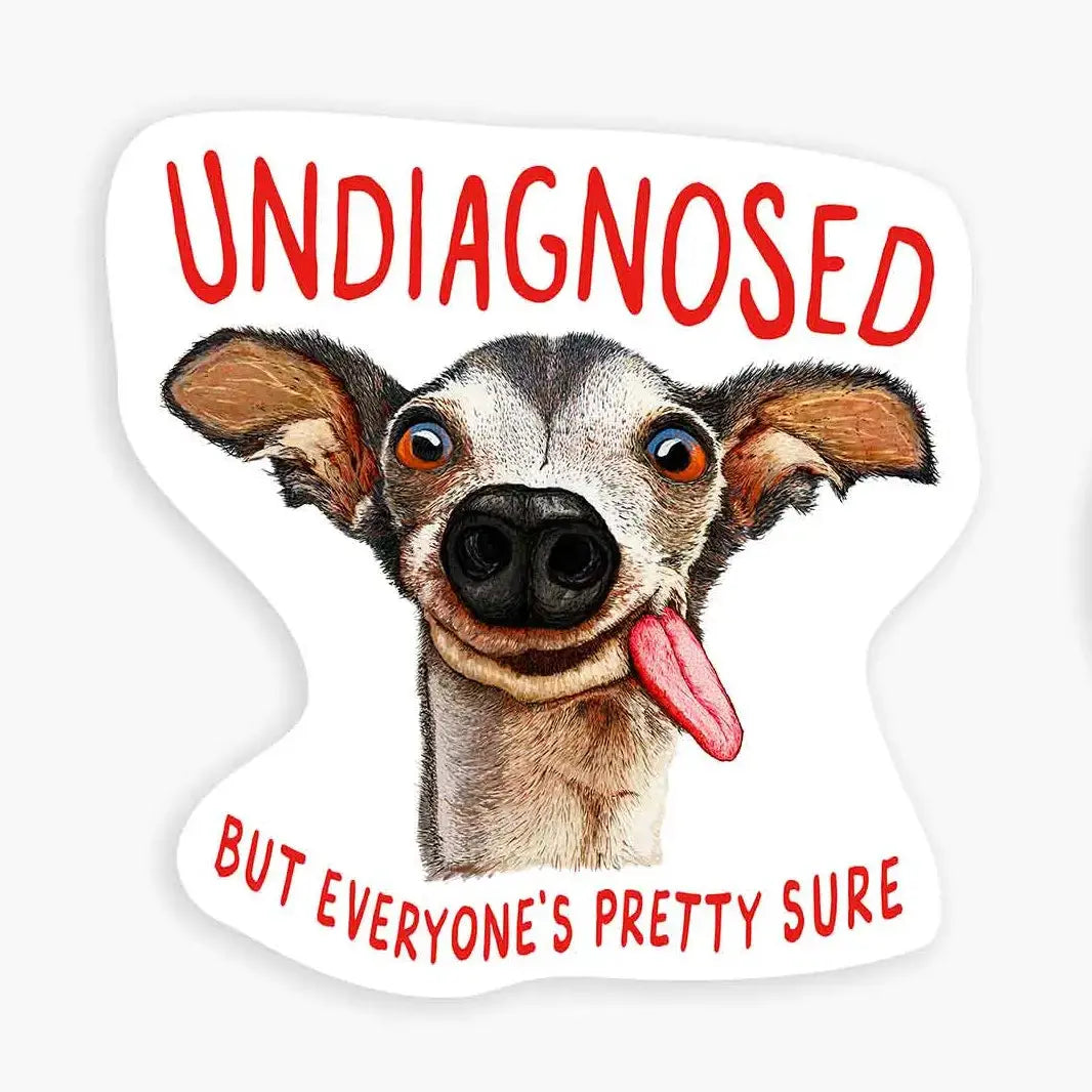 Sticker Mini - Undiagnosed Nice Enough Stickers
