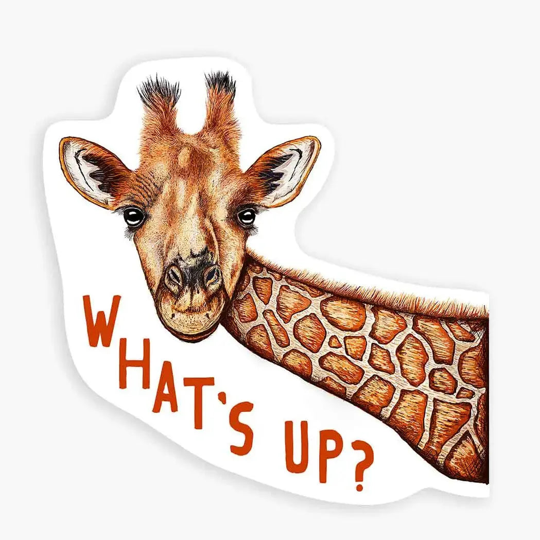 Sticker Mini - What's Up Nice Enough Stickers