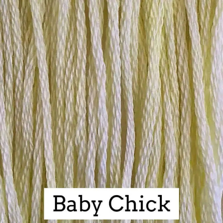 Baby Chick by Classic Colorworks Classic Colorworks
