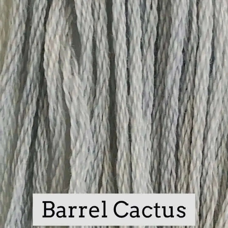 Barrel Cactus by Classic Colorworks Classic Colorworks