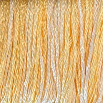 Cottage Daisies by Classic Colorworks Classic Colorworks