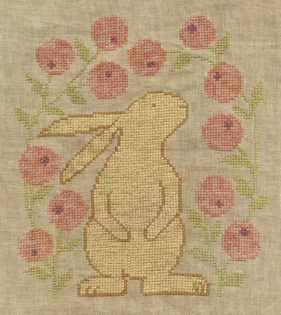 Curious Bunny by Teresa Kogut Teresa Kogut