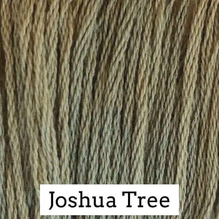 Joshua Tree by Classic Colorworks Classic Colorworks