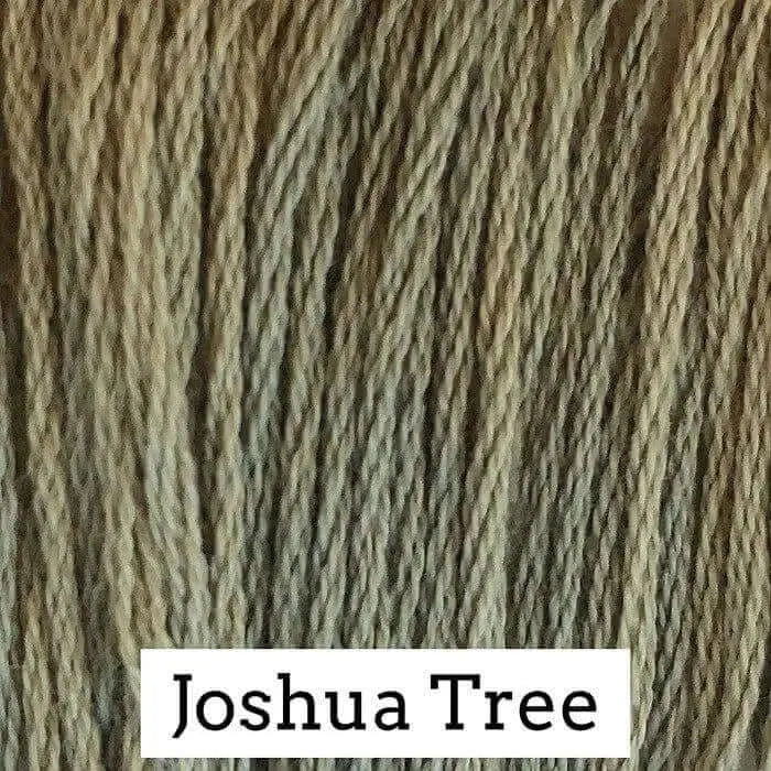 Joshua Tree by Classic Colorworks Classic Colorworks