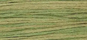 Kudzu by Weeks Dye Works Weeks Dye Works