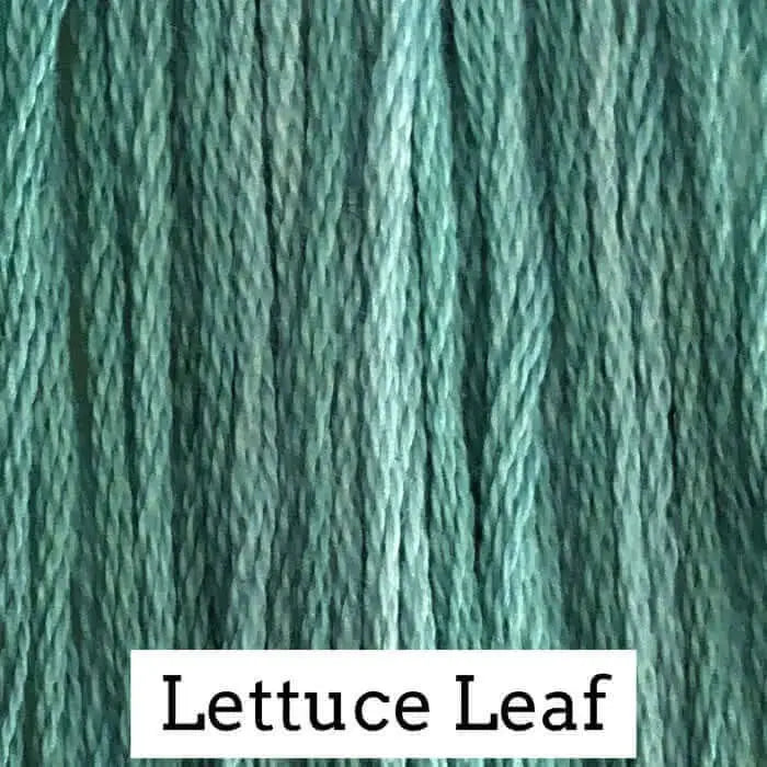 Lettuce Leaf by Classic Colorworks Classic Colorworks