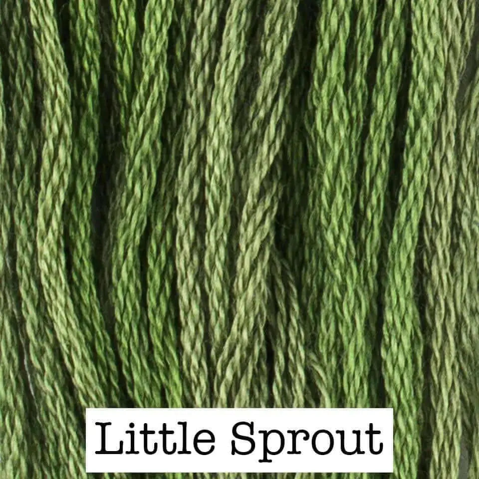 Little Sprout by Classic Colorworks Classic Colorworks