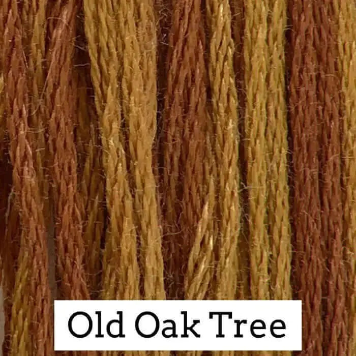 Old Oak Tree by Classic Colorworks Classic Colorworks