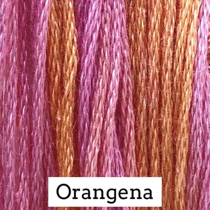 Orangena by Classic Colorworks Classic Colorworks