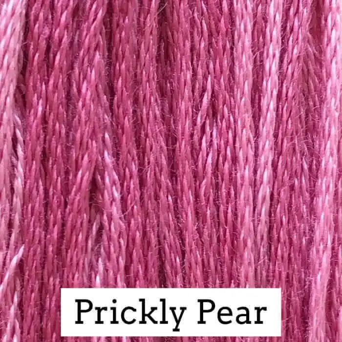 Prickly Pear by Classic Colorworks Classic Colorworks