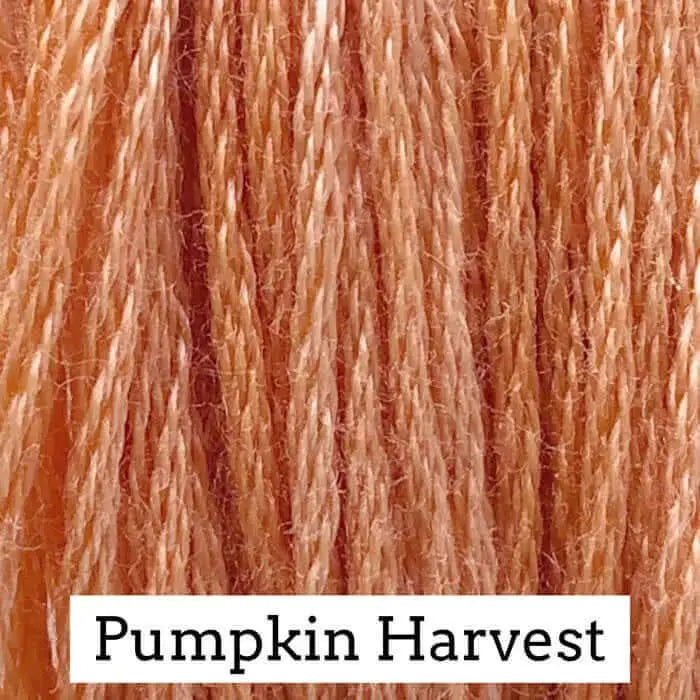 Pumpkin Harvest by Classic Colorworks Classic Colorworks