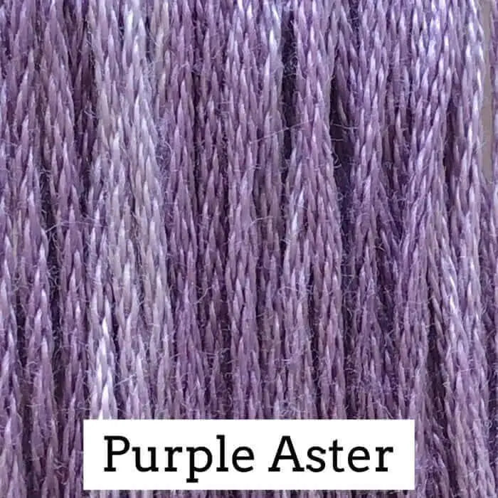 Purple Aster by Classic Colorworks Classic Colorworks