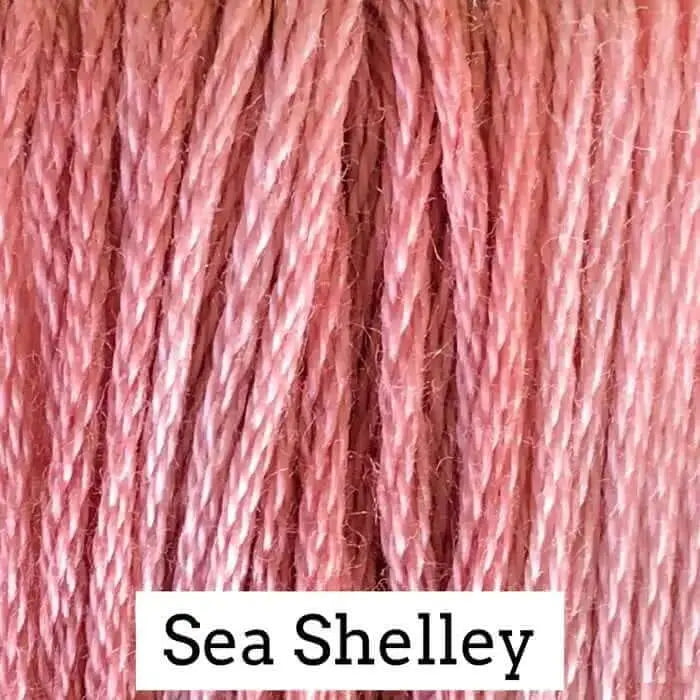 Sea Shelley by Classic Colorworks Classic Colorworks