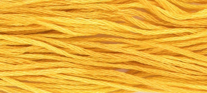 Squash by Weeks Dye Works Weeks Dye Works