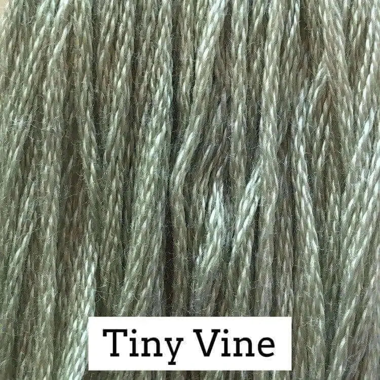 Tiny Vine by Classic Colorworks Classic Colorworks