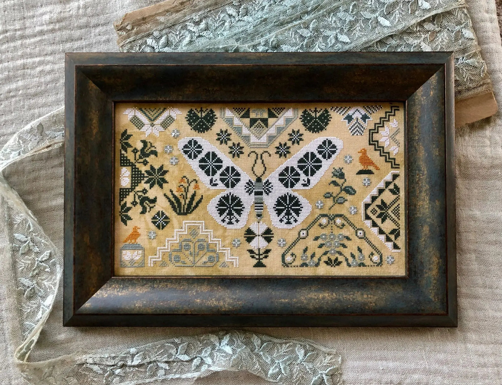 White Winter Moth by Kathy Barrick Kathy Barrick